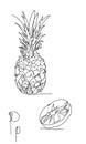 One line pineapple. minimalistic fruit set
